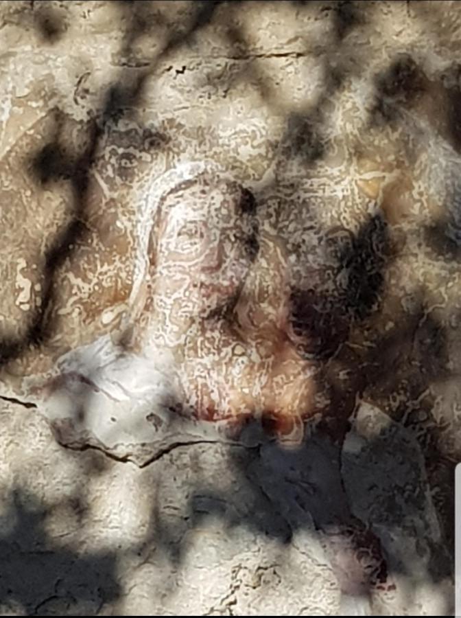 Chambre D'Hote Geiko Cabrieres-d'Aigues المظهر الخارجي الصورة